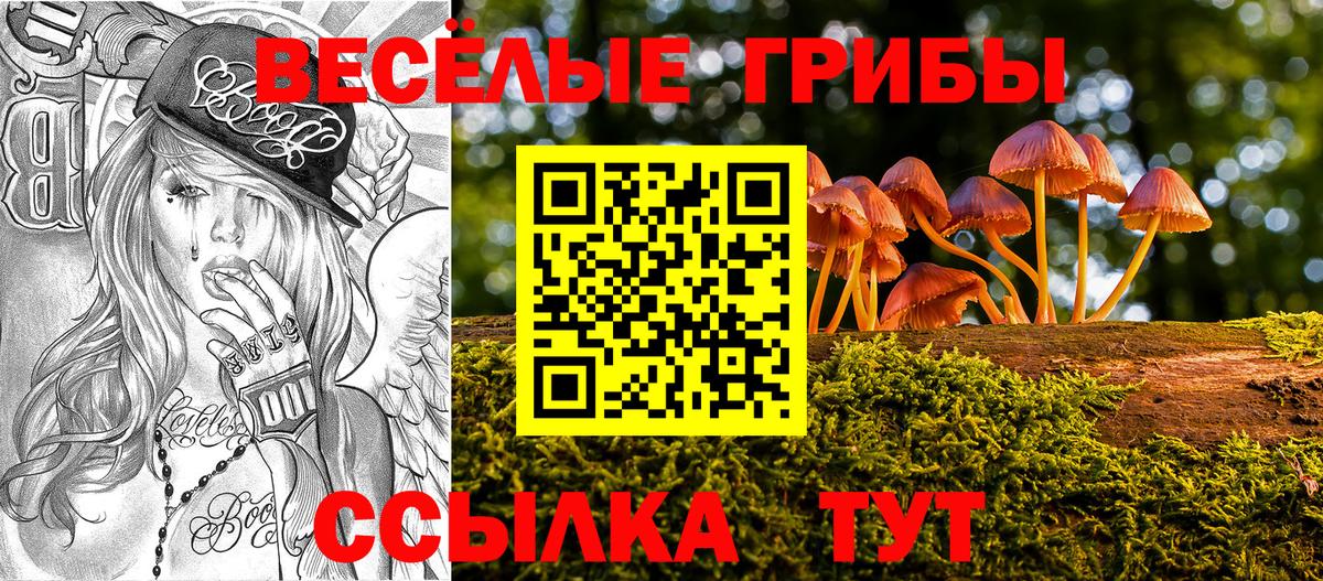 Псилоцибиновые грибы Psilocybine cubensis Юрга